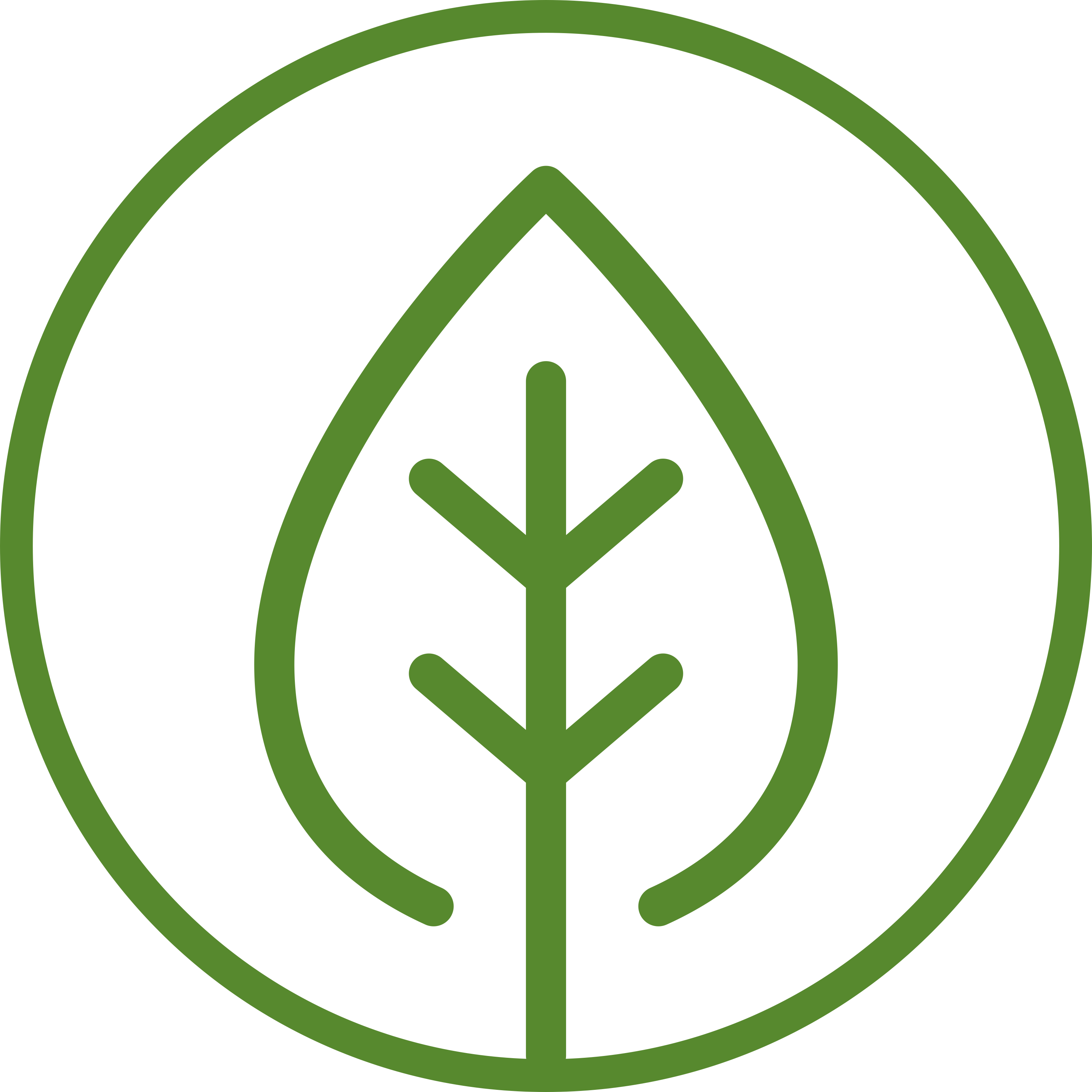 leaf icon