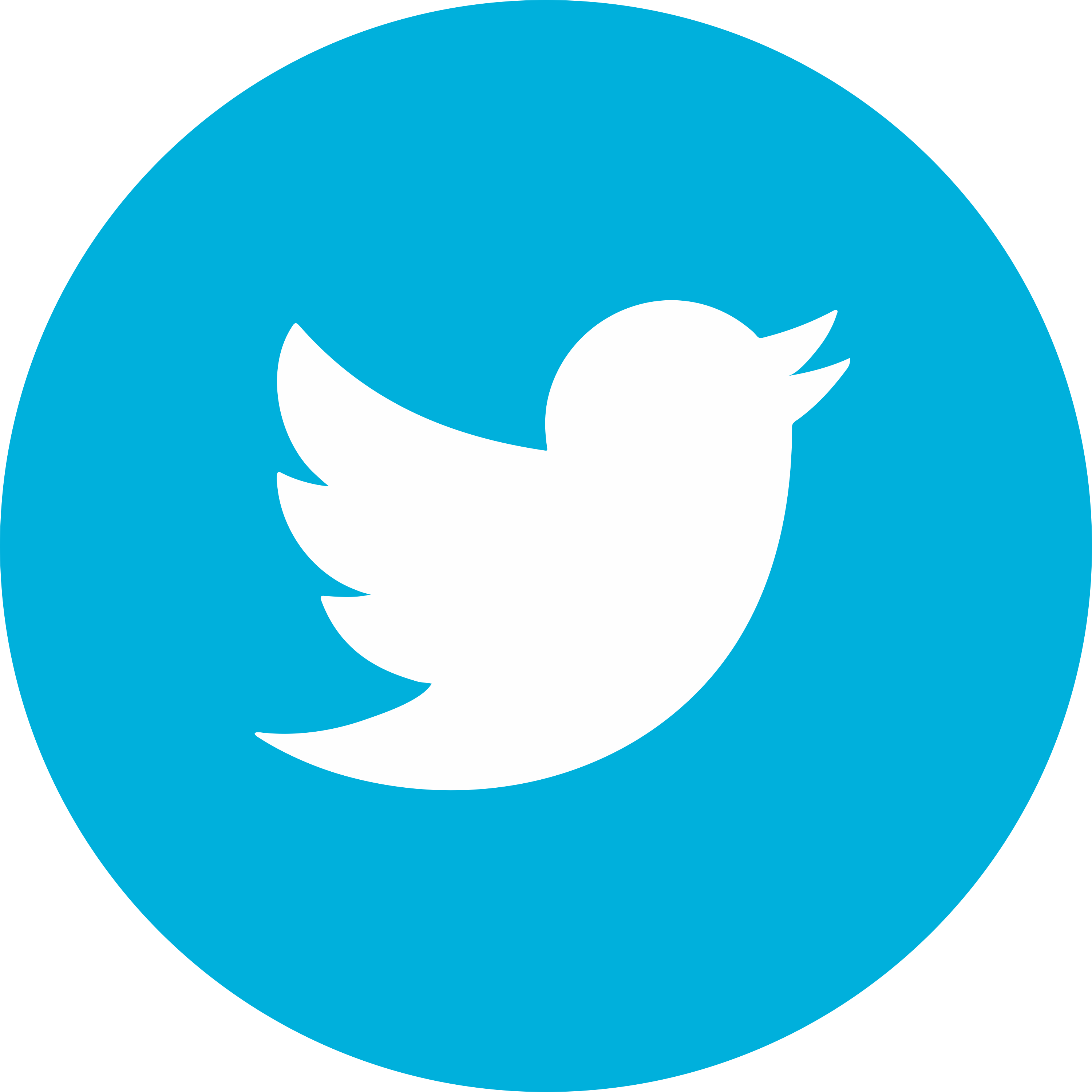 Twitter icon