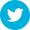 Twitter icon