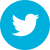 Twitter icon